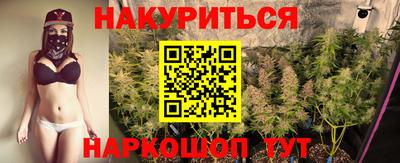 сатива Донской