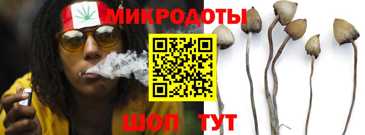 Псилоцибиновые грибы ЛСД  Вход с VPN  Новотроицк  Псилоцибиновые грибы Cubensis 