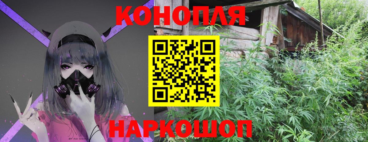 Бошки Шишки LSD WEED  Новотроицк  Бошки Шишки тримм  Бошки марихуана сатива 